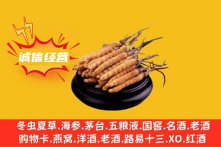 孝感云梦县回收冬虫夏草